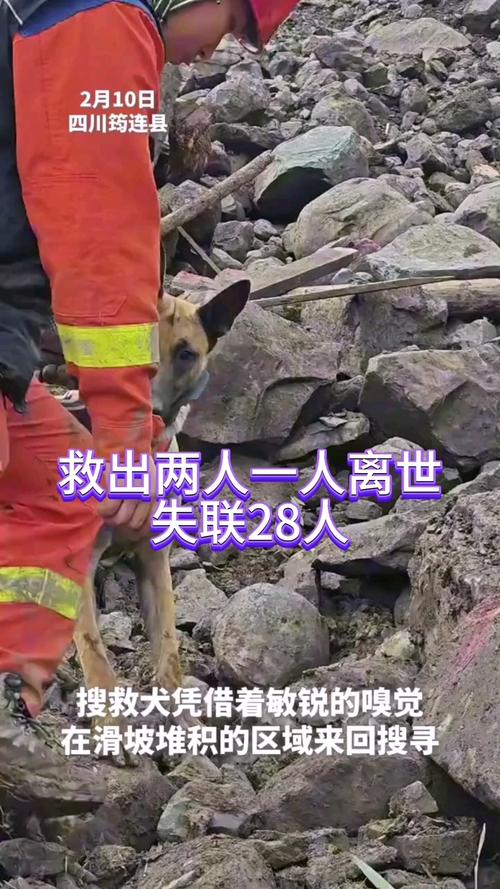山体滑坡10余人被困,山体滑坡10余人被困