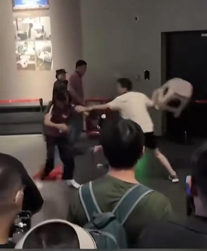 上海迪士尼游客打架,上海迪士尼游客打架视频